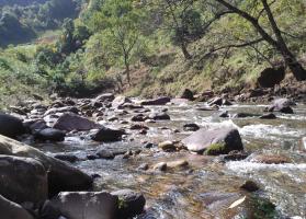Mountain Laojun